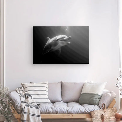 Évoquez la liberté marine avec ce portrait de dauphin dans l’océan, une composition en noir et blanc à la fois apaisante et majestueuse.