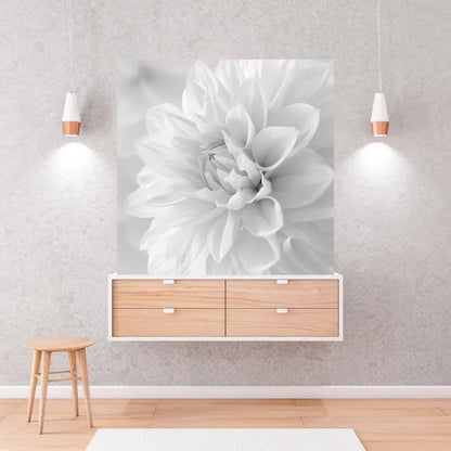 Tableau noir et blanc d’une fleur blanche aux pétales délicats, style naturel et raffiné