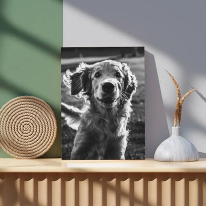 Tableau en noir et blanc d’un golden retriever, portrait canin élégant et attendrissant pour décoration murale
