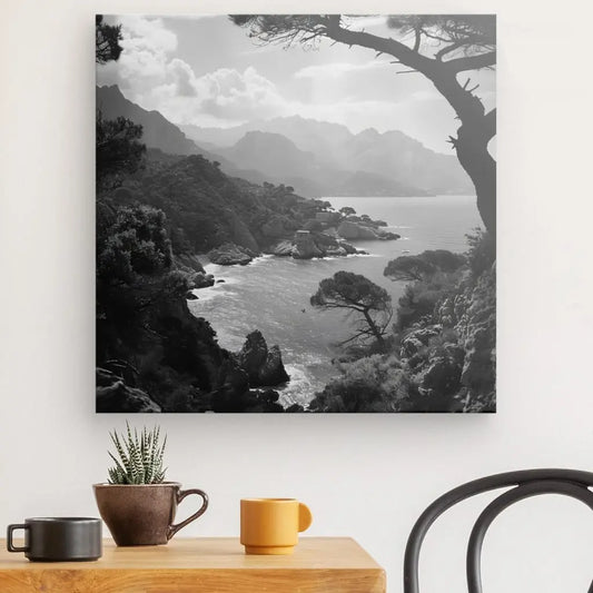 Tableau noir et blanc d’un paysage corse, vue naturelle entre mer et montagne au style authentique