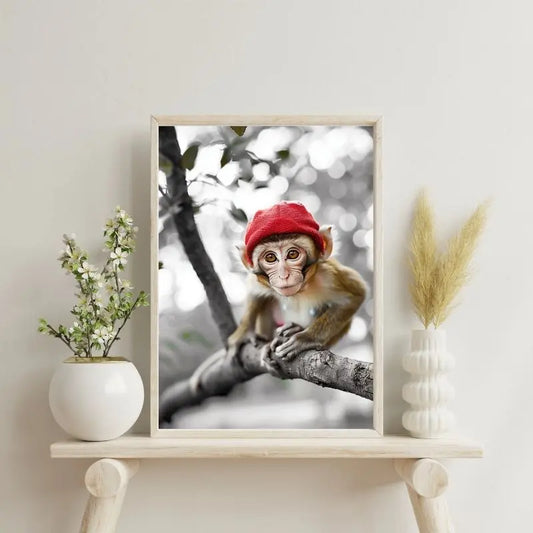 Tableau en noir et blanc d’un singe marrant avec un bonnet rouge, œuvre amusante et décalée pour décoration murale