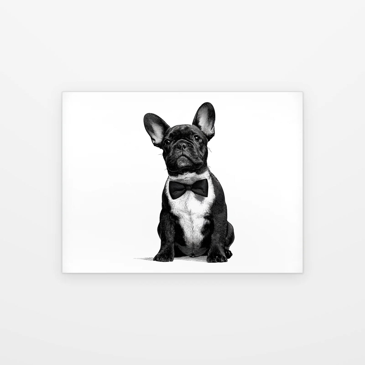 Visuel du poster bouledogue assis au nœud papillon noir et blanc présenté seul sur fond blanc, aperçu de l’œuvre imprimée