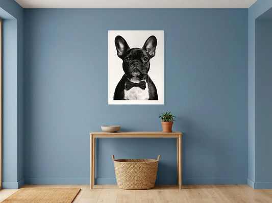Poster bouledogue au nœud papillon noir et blanc sans cadre, présenté dans : entrée aux murs bleu poudré