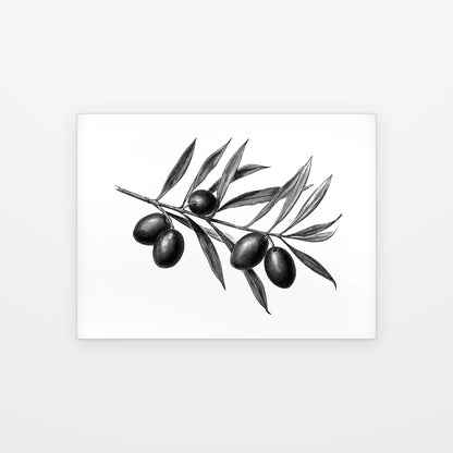 Poster Branche d’Olivier noir et blanc présenté seul sur fond blanc, aperçu de l’œuvre imprimée