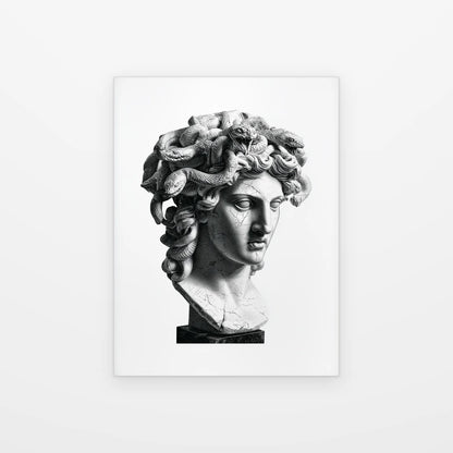 Visuel du poster buste de méduse noir et blanc présenté seul sur fond blanc, aperçu de l’œuvre imprimée