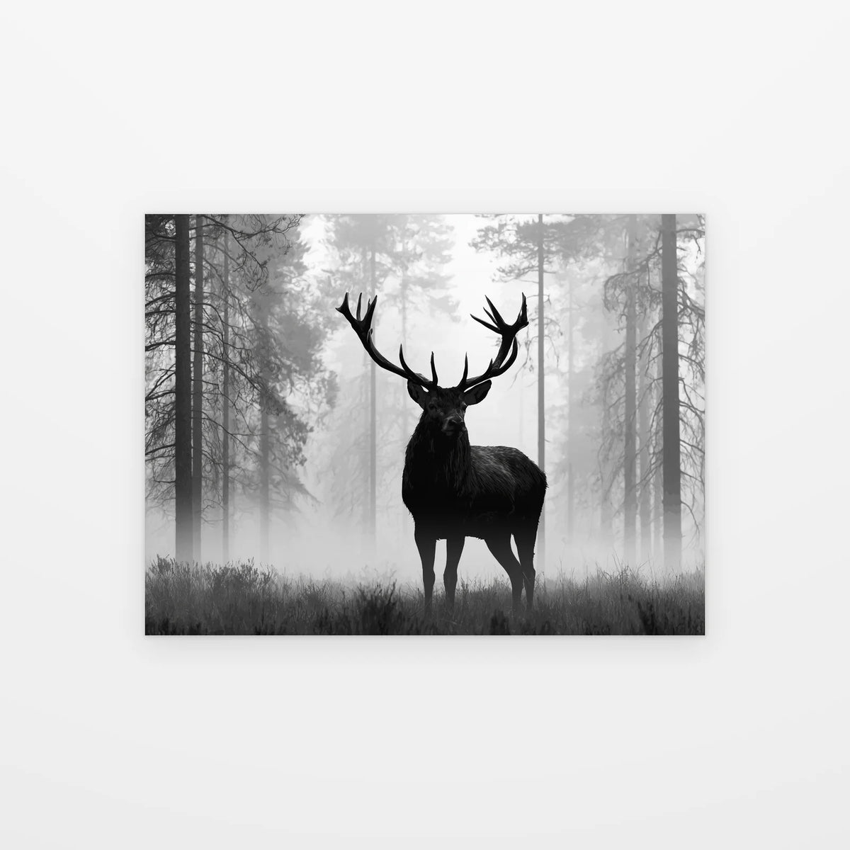 Poster Affiche Cerf dans la Brume noir et blanc présenté seul sur fond blanc, aperçu de l’œuvre imprimée