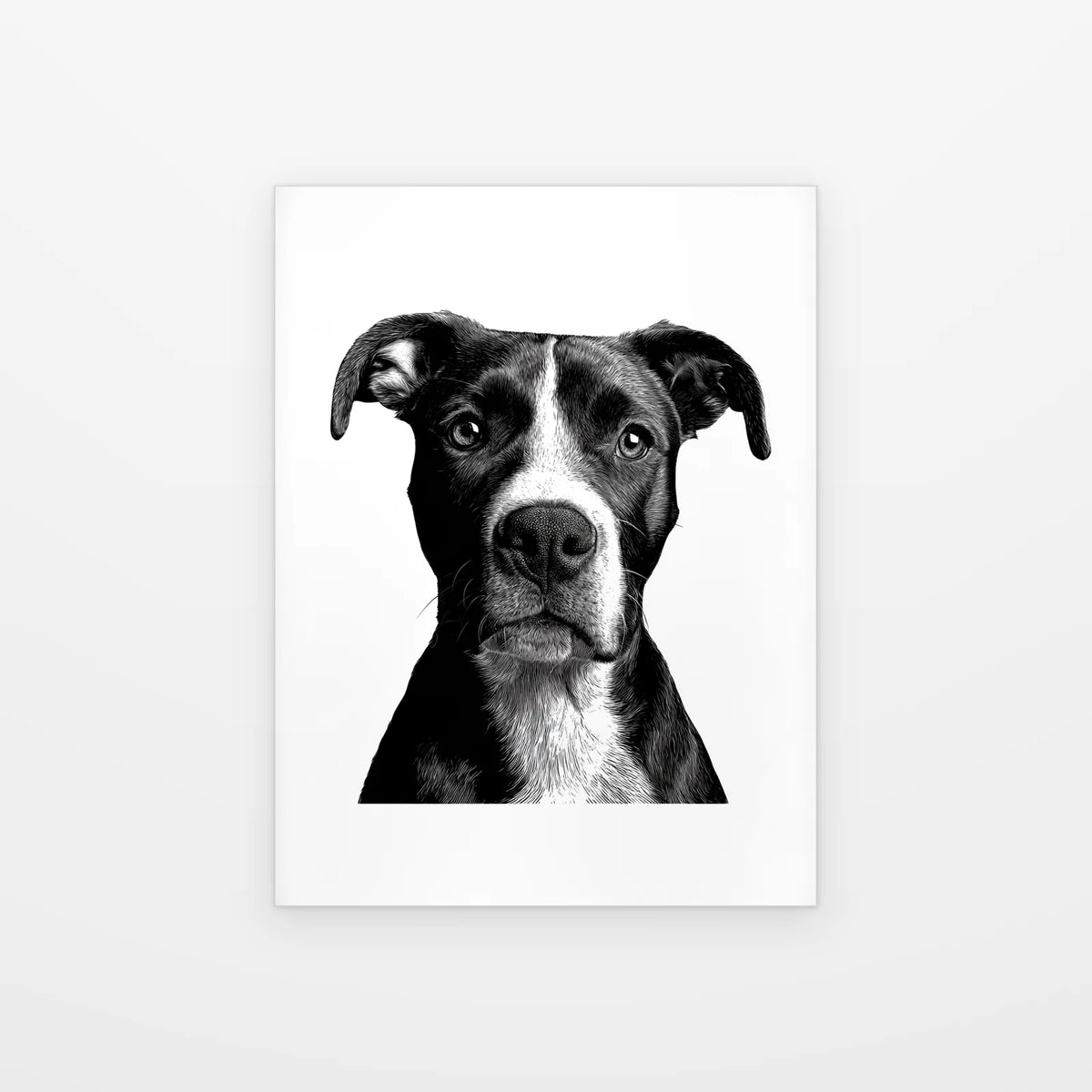 Visuel du poster chien au museau blanc noir et blanc présenté seul sur fond blanc, aperçu de l’œuvre imprimée