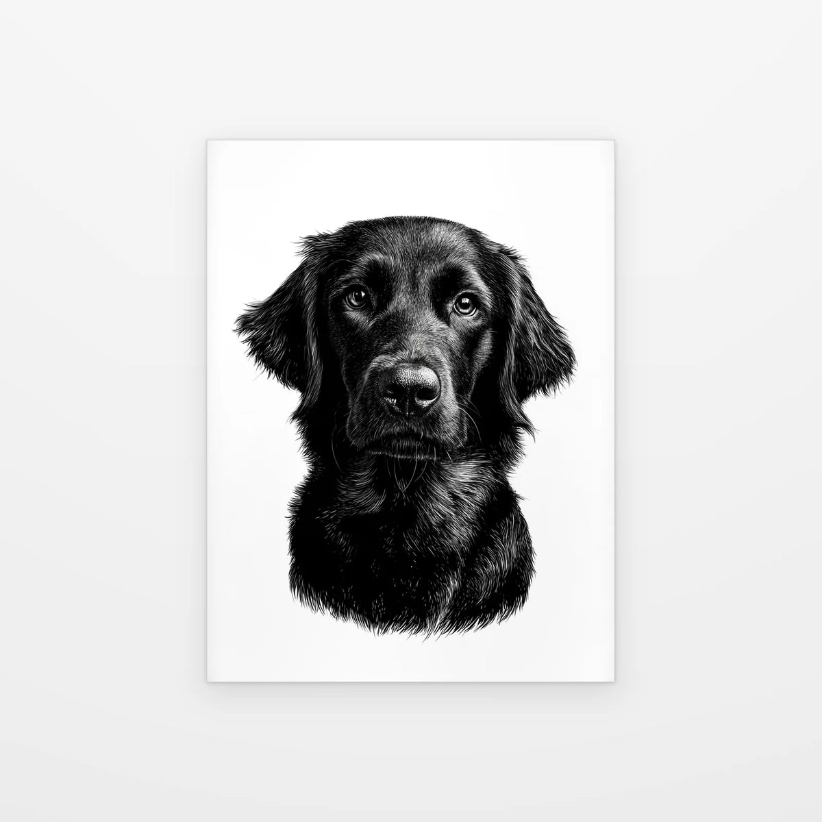 Visuel du poster chien aux oreilles longues noir et blanc présenté seul sur fond blanc, aperçu de l’œuvre imprimée