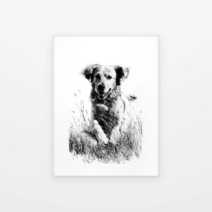 Visuel du poster golden dans les herbes noir et blanc présenté seul sur fond blanc, aperçu de l’œuvre imprimée