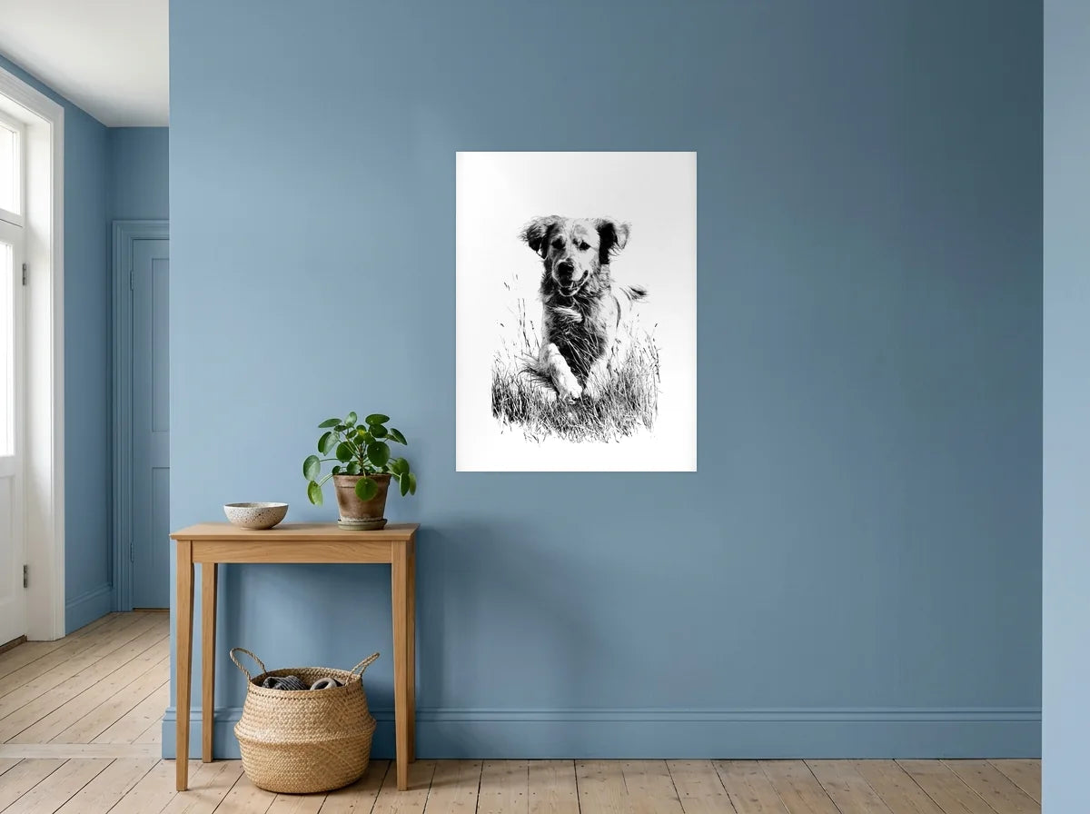 Poster golden dans les herbes noir et blanc sans cadre, présenté dans : entrée aux murs bleu poudré