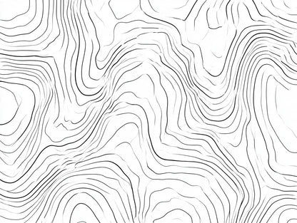 Œuvre complète du poster lignes topographiques abstraites noir et blanc, vue fidèle du visuel