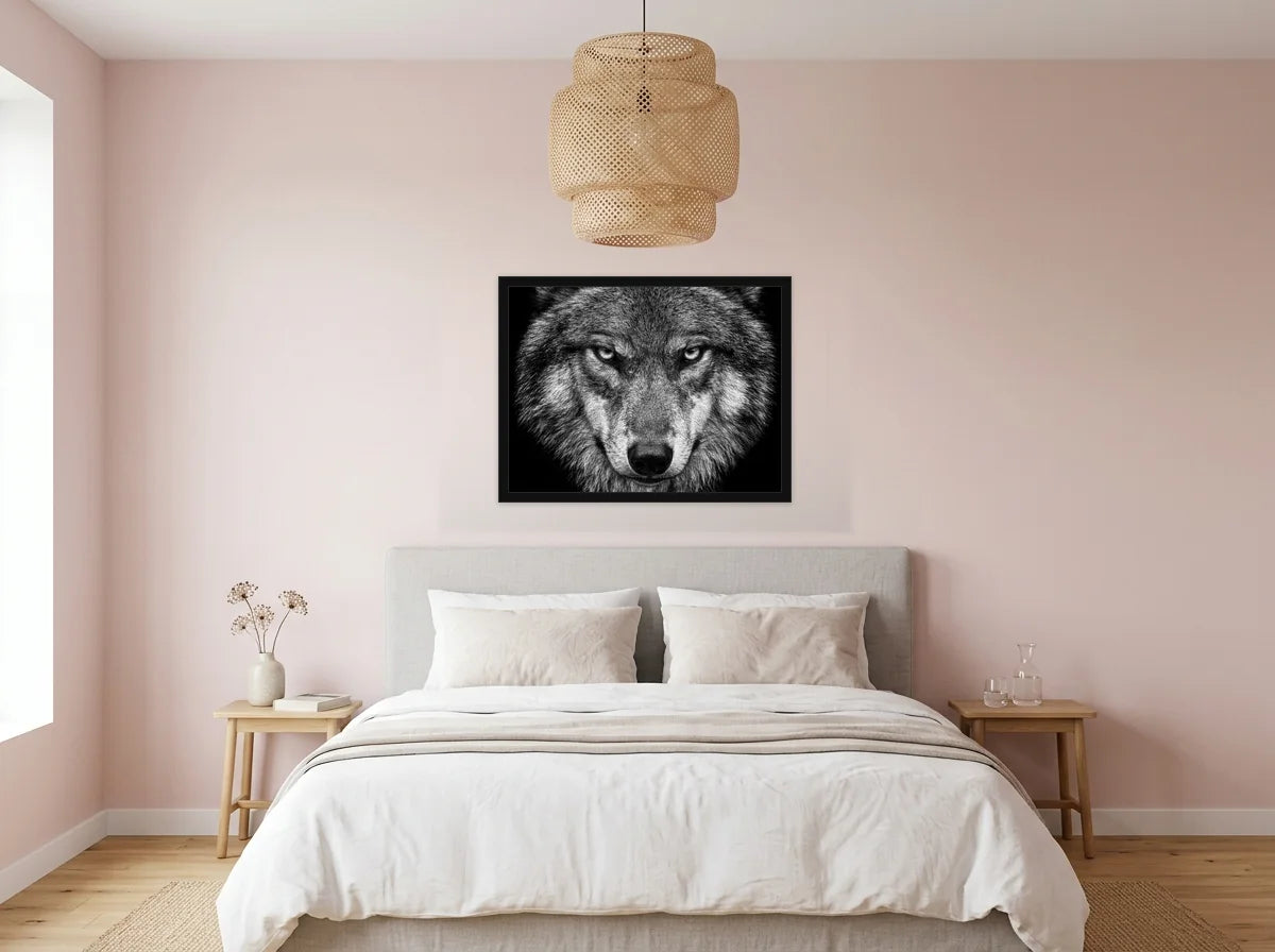 Poster loup au regard perçant noir et blanc encadré noir, présenté dans : chambre aux murs rose poudré