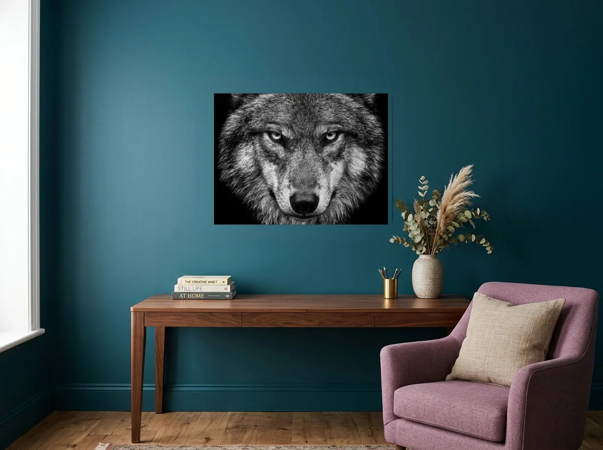 Poster loup au regard perçant noir et blanc sans cadre, présenté dans : bureau aux murs bleu canard