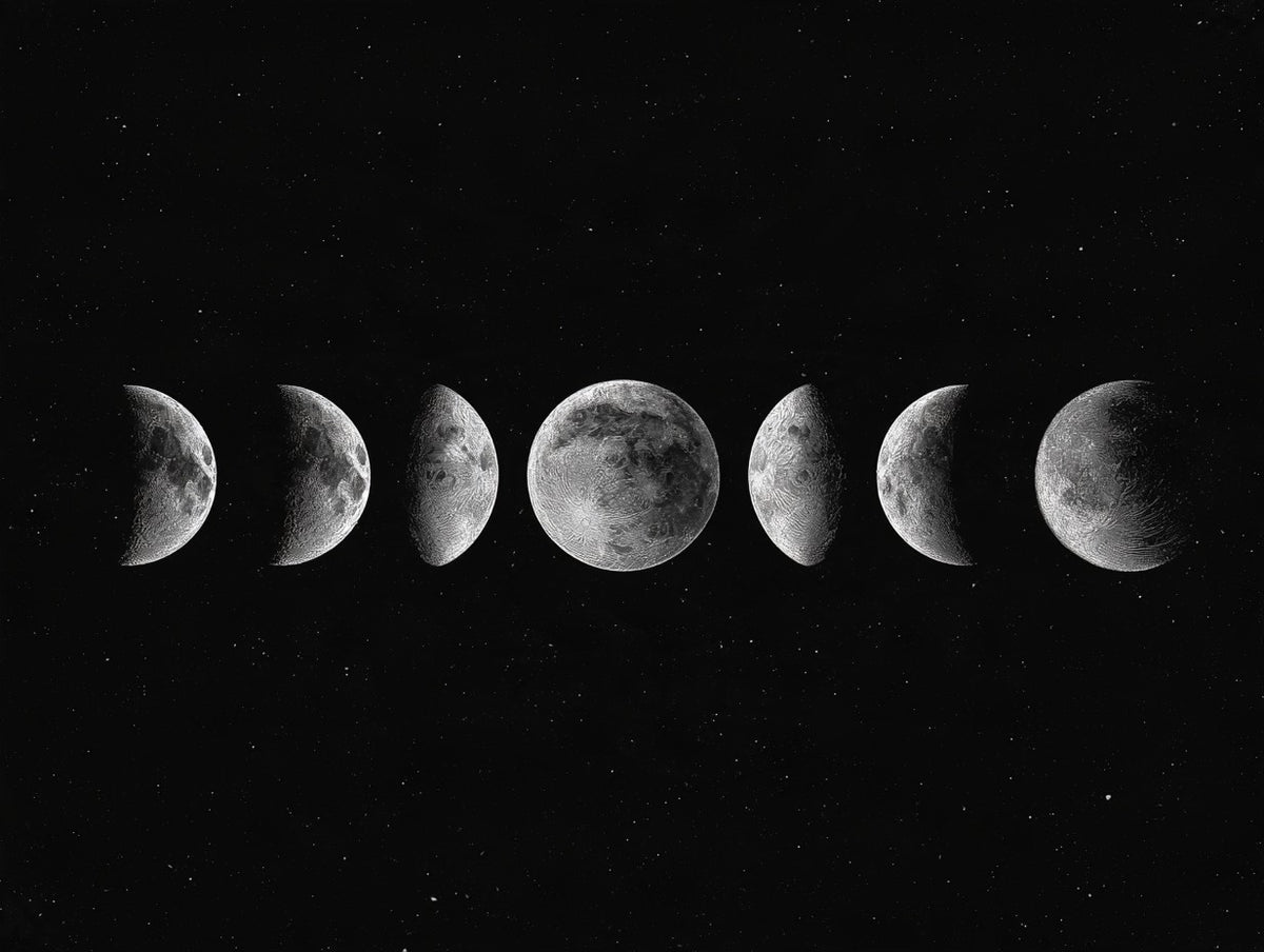 Illustration du poster affiche phases de lune noir et blanc, vue fidèle de l’œuvre complète