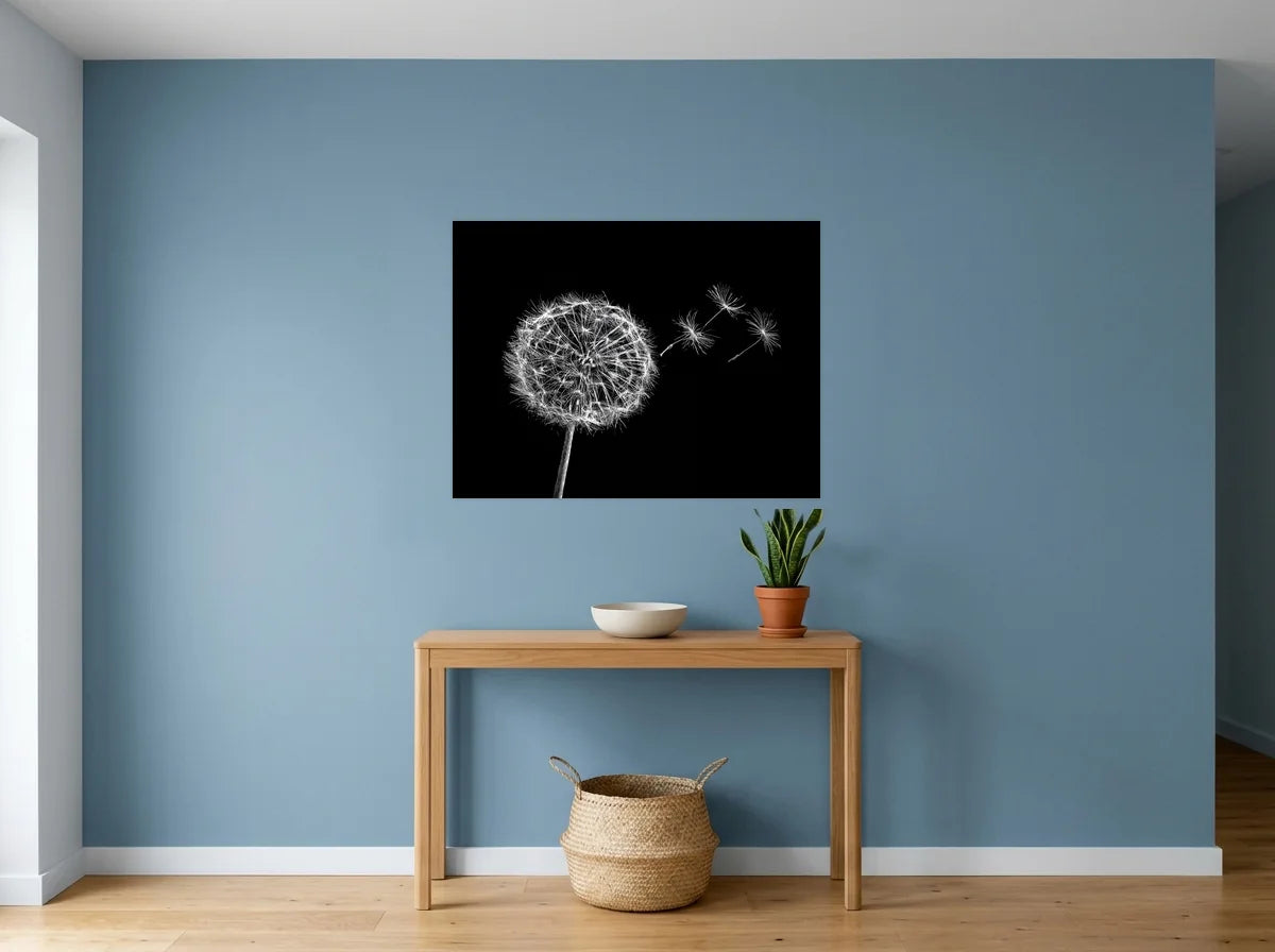 Poster Affiche Pissenlit au Vent noir et blanc sans cadre, présenté dans : entrée aux murs bleu poudré