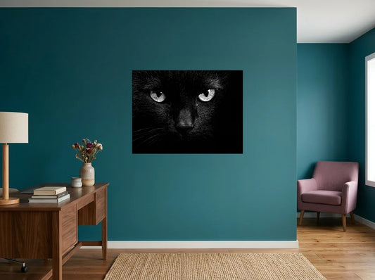 Poster portrait de chat noir sans cadre, présenté dans un bureau aux murs bleu canard