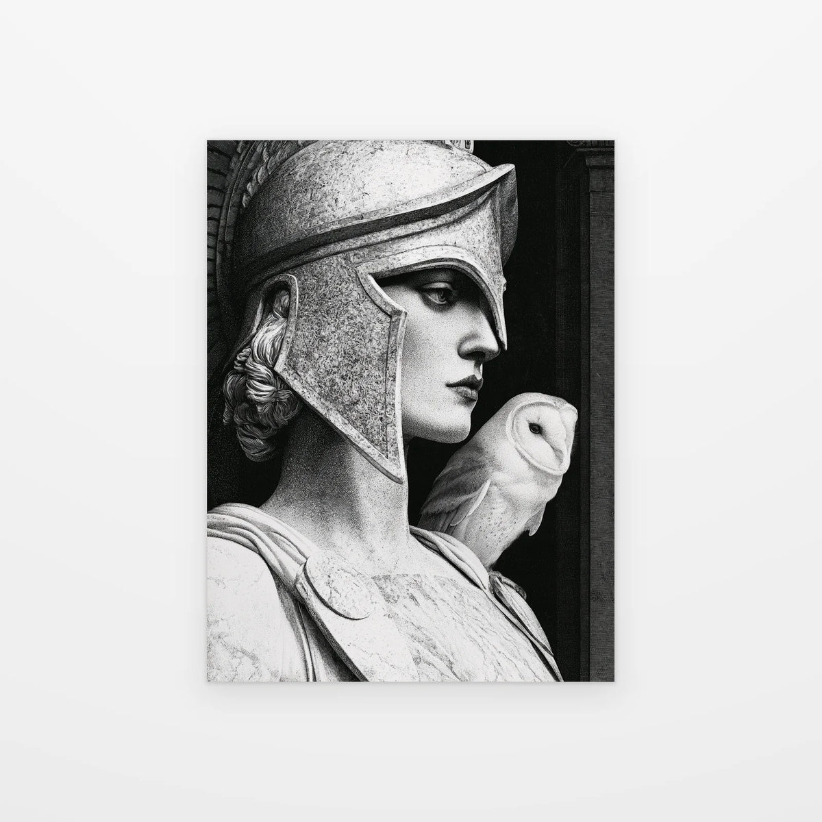 Visuel du tableau athéna et la chouette noir et blanc présenté seul sur fond blanc, aperçu de l’œuvre imprimée