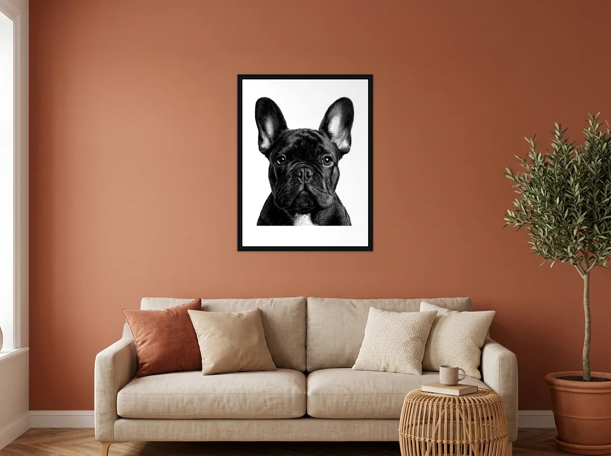 Tableau bouledogue aux grandes oreilles noir et blanc en toile encadrée noire, présenté dans : salon aux murs terracotta