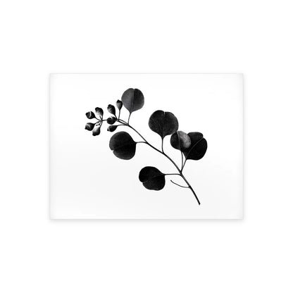 Tableau branche d’eucalyptus noir et blanc présenté seul sur fond blanc, aperçu de l’œuvre imprimée