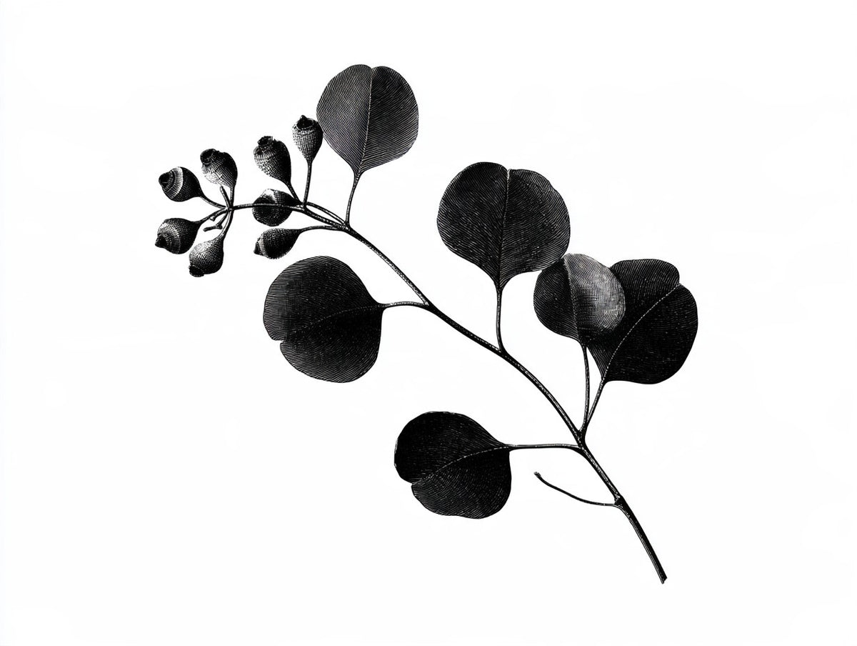 Œuvre du tableau branche d’eucalyptus noir et blanc, vue complète et fidèle du visuel