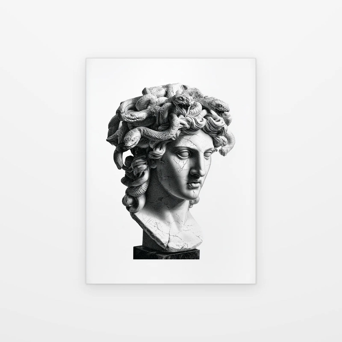 Visuel du tableau buste de méduse noir et blanc présenté seul sur fond blanc, aperçu de l’œuvre imprimée