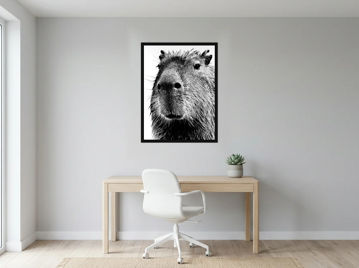 Tableau capybara en gros plan noir et blanc en toile encadrée noire, présenté dans un bureau gris clair lumineux