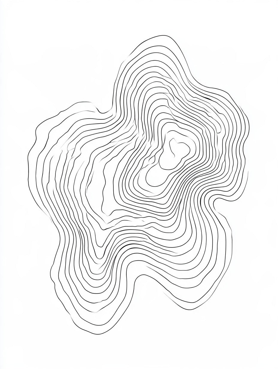 Œuvre complète du tableau courbes topographiques organiques noir et blanc, vue fidèle du visuel