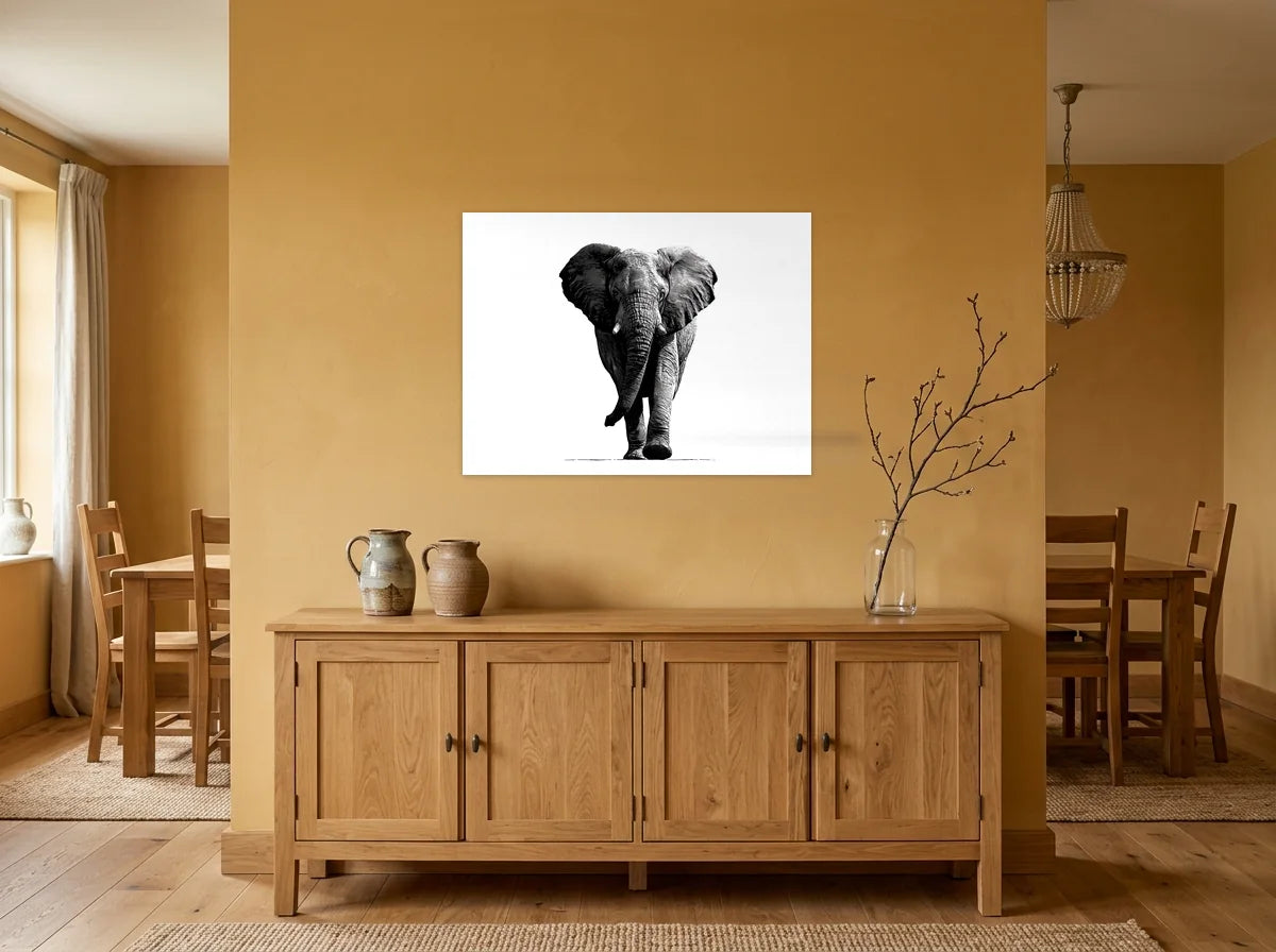 Tableau éléphant gravure face noir et blanc sur toile 2 cm, présenté dans un intérieur coloré