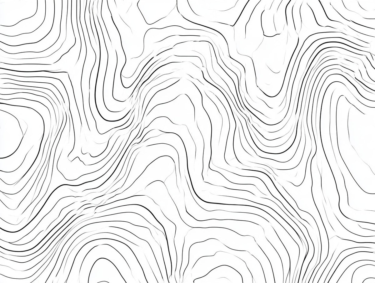 Œuvre complète du tableau lignes topographiques abstraites noir et blanc, vue fidèle du visuel