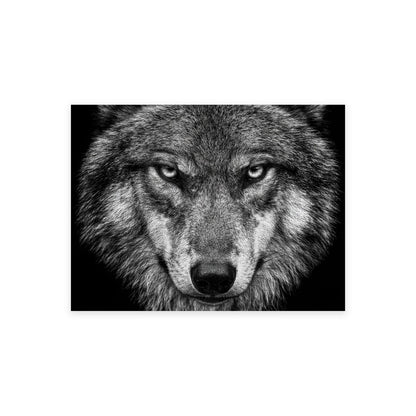Tableau loup au regard perçant noir et blanc présenté seul sur fond blanc, aperçu de l’œuvre imprimée