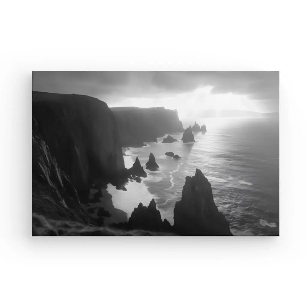 Tableau Falaises Bord de Mer Paysage Maritime Noir et Blanc