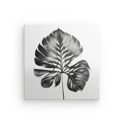 Image en noir et blanc d’une seule grande feuille de monstera sur fond blanc. La feuille présente des fentes et des trous caractéristiques dans sa structure, mettant en valeur son Tableau Feuille Végétale Naturelle Noir et Blanc.