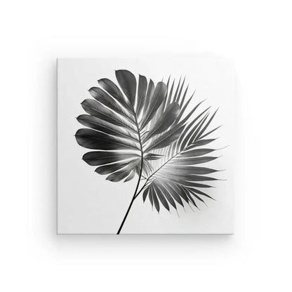 Image en noir et blanc de deux feuilles de palmier superposées sur fond blanc, mettant en valeur un Tableau Plante Tige Végétale Noir et Blanc qui captive le spectateur.